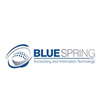 The Blue Spring Accounting Store
