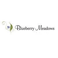 The Blueberry Meadows Store